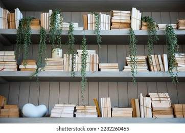 Bookshelf with plants modern decor for virtual office backgrounds, studio backdrop, print large on a back wall