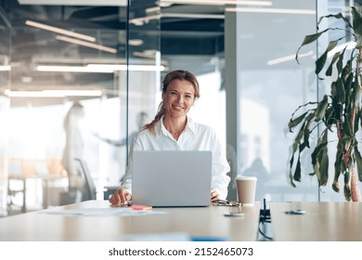 Portrait of smiling lady boss working on laptop at workplace in modern office. Blurred background
